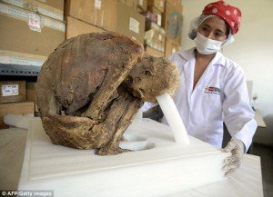 В Перу случайно нашли 40 мумий в древнем захоронении инков - Похоронный портал