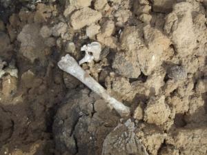 В Рязанской области добывают песок на старом кладбище - Похоронный портал