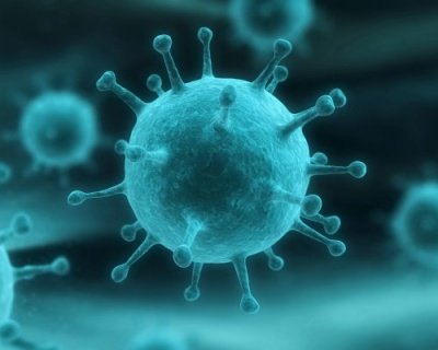 Ученые назвали вирусы, представляющие угрозу пандемии