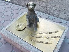 Памятник-копилка для помощи бездомным животным появился в Кирове - Похоронный портал