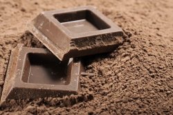 Британские ученые создали шоколад с омолаживающими свойствами 