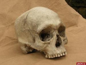 В Пскове на заводе нашли череп давно умершей женщины - Похоронный портал