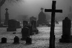 В Клинцах нашли незаконное кладбище
