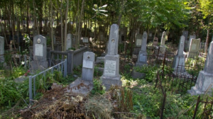 Администрацию Оренбурга обязали блаугоустроить кладбища - Похоронный портал