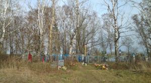 Кладбище в Партизанском городском округе «вышло из берегов» - Похоронный портал