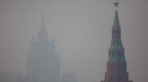 Эколог предложил спасти воздух Москвы от грязи, высаживая деревья на крышах - Похоронный портал
