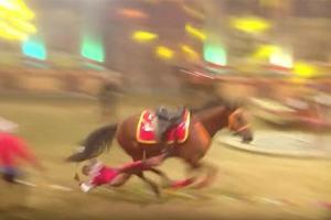 Лошадь насмерть затоптала наездницу на конном шоу в Новороссийске - Похоронный портал