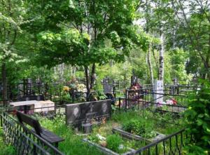 В Верхолузье плохо содержали кладбище, а в Усогорске - водный источник - Похоронный портал
