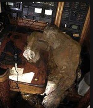 Стало известно, от чего умер моряк, чью мумию нашли на дрейфующей яхте - Похоронный портал