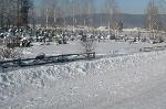 В Никольском районе дорогу к сельскому кладбищу занесло снегом