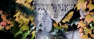 В Литве восстановили еврейское кладбище - Похоронный портал