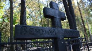 Двое воронежцев попались на краже части ограды Коминтерновского кладбища - Похоронный портал