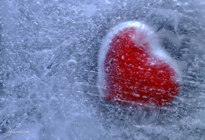 Ученые запустили первое размороженное сердце  