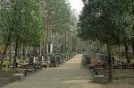 В Подмосковье наметился дефицит мест на кладбищах