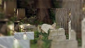 На кладбище в Гулькевичах разгромили 63 могилы (видео) - Похоронный портал