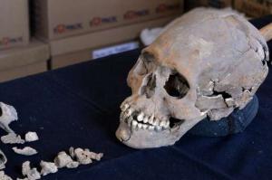 Археологи нашли таинственный череп с инкрустированными зубами - Похоронный портал