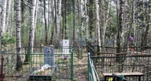 Роспотребнадзор нашел нарушения санитарных норм на курганском кладбище - Похоронный портал