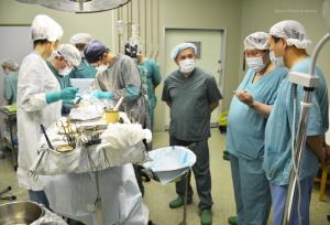 Не забирайте органы на небеса: Якутские трансплантологи призывают не бояться посмертного донорства - Похоронный портал
