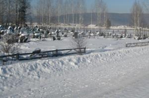 В Никольском районе дорогу к сельскому кладбищу занесло снегом - Похоронный портал