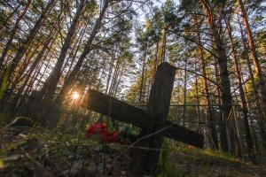 Глава Бердска потребовал остановить расширение кладбища - Похоронный портал