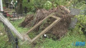 Тайфун "Чан-Хом" разрушил могилы на хабаровском кладбище - Похоронный портал