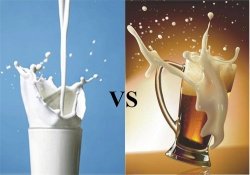 Обнаруженное в молоке и пиве вещество замедляет старение
