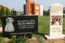 В Омске уничтожили кладбища домашних животных - Похоронный портал