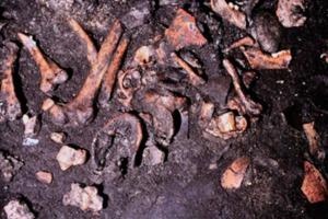 Ученые выяснили, для чего древние итальянцы срезали мясо с костей трупов - Похоронный портал