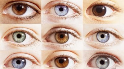 Ученые рассказали, что цвет глаз может рассказать о здоровье