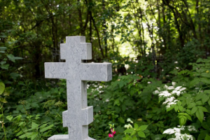 В Ярославле построят новое кладбище - Похоронный портал