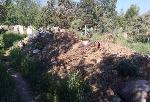 На заваленные мусором могилы Шинного кладбища пожаловались горожане