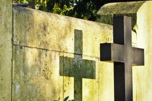Заброшенное кладбище в Дубне приведут в порядок после прокурорской проверки (видео) - Похоронный портал