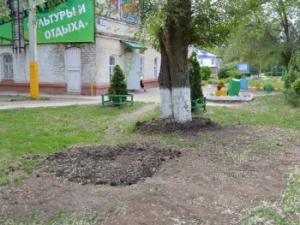 Останки из склепа, найденного в балаковском парке, захоронили - Похоронный портал