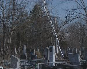 В Краснодаре Славянское кладбище могут закрыть весной - Похоронный портал