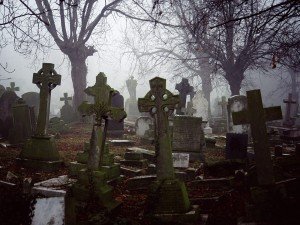 В Первомайском районе девять бесхозных кладбищ - Похоронный портал