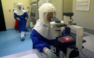 Японские ученые научились выявлять вирус Эбола за 15 минут - Похоронный портал