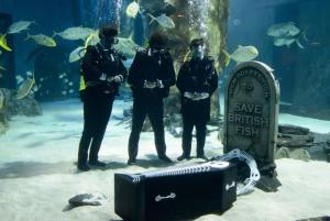 В лондонском океанариуме прошли символические похороны рыб - Похоронный портал