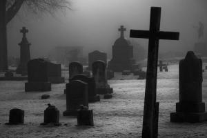 На московских кладбищах появится бесплатный Wi-Fi - Похоронный портал