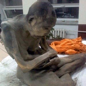  200-летняя мумия сохранила белковые фракции тибетского монаха - Похоронный портал