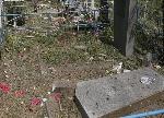 В Ростове Северное кладбище опять громят вандалы