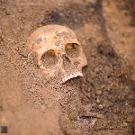 В Англии найден древний скелет с камнем вместо языка