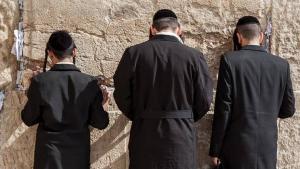 Еврейское кладбище в Стародубе исследуют этнографы - Похоронный портал