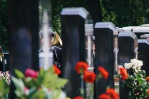 Захоронениям на московских кладбищах присвоят GPS-координаты - Похоронный портал