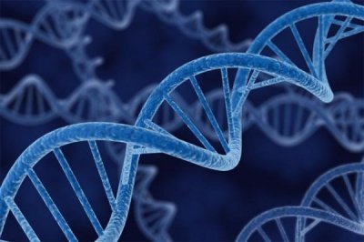Ученые обнаружили доисторическую ДНК вируса рака крови