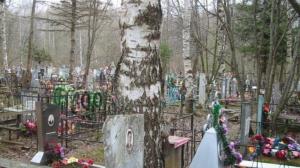На содержание городских кладбищ потратят 9 млн рублей - Похоронный портал