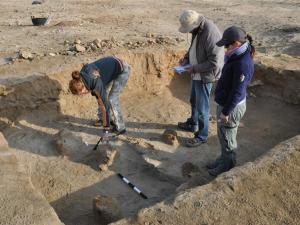 Ученые обнаружили на территории Египта кладбище домашних животных - Похоронный портал