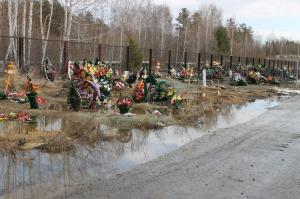 Новгородец пожаловался на безобразное состояние Западного кладбища - Похоронный портал