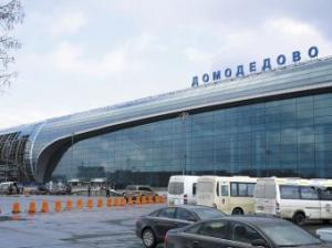 В аэропорту Домодедово известный иркутский адвокат забыла гроб с телом сына - Похоронный портал