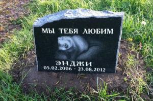 В парке 300-летия Омска ликвидировали кладбище домашних животных с памятниками - Похоронный портал