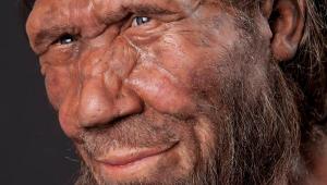 Палеонтологи нашли возможные следы каннибализма среди неандертальцев - Похоронный портал